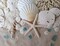 Tumbler Home Small Natural White Sand Dollars 50 pcs - Wedding - Sea Shell Craft 1 1/4&#x22; to 1 1/2&#x22; - Hand Picked and Professionally Packed